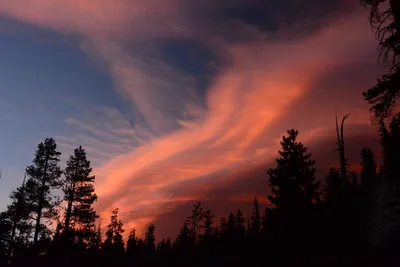 DSC_0097 (Large).JPG